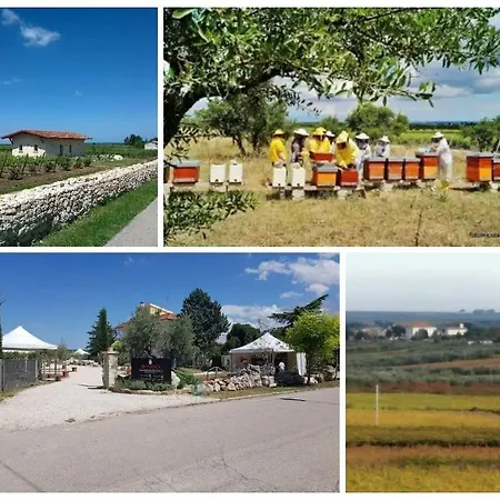 Campsite Biobonizio Pierluigi